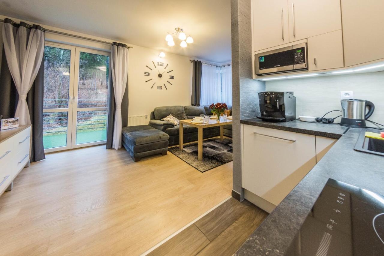 Apartamenty Izerskie - Ul. Cicha 13D-E Świeradów-Zdrój Exterior foto